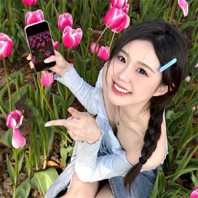 遇见企鹅