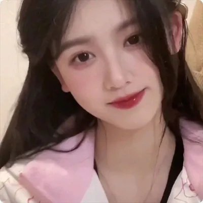 紫禁秘录